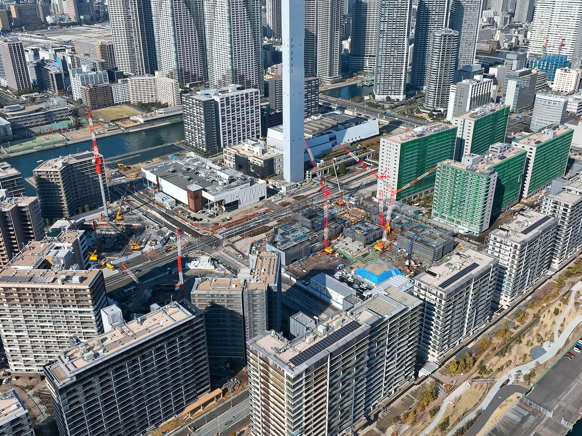 勝陽について画像